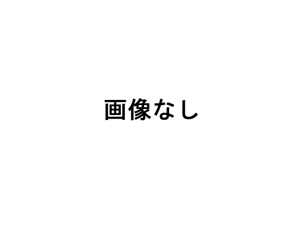 お雛様が好きになるっ!飾るの楽しいっ!十五人全員揃ってコンパクトな柿沼東光十五人木目込み人形