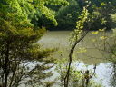 渋川動物公園の池