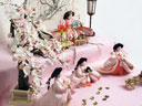 桜の刺繍がかわいいピンクの雛人形毛氈二段桐箱収納五人飾り