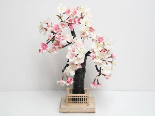 しだれ桜