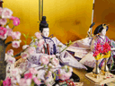 落ち着いた淡い紫桜衣装の雛人形雛人形を金屏風と黒塗り台に並べる収納飾り