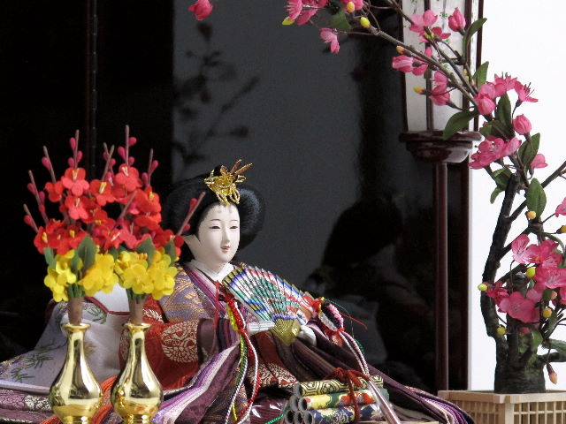 古典的な文様、丸の鶴を衣装に織り込んだ雛人形溜塗り紅白梅親王飾り