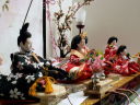 桜柄友禅衣装の赤いおひな様を几帳の前で官女と一緒に飾った雛人形五人飾り