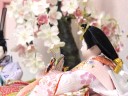 金彩桜松雛人形ぼかしピンクコンパクト桜重箱飾り