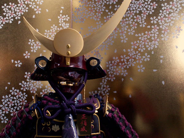 上杉神社所蔵、上杉謙信公所用黒小札紫糸威しの具足写しを桜舞う屏風で飾りました