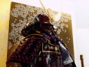 上杉神社所蔵、上杉謙信公所用黒小札紫糸威しの具足写しを桜舞う屏風で飾った五月人形