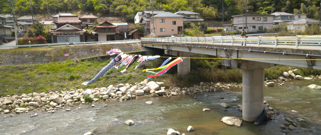 西日本豪雨復興鯉のぼり