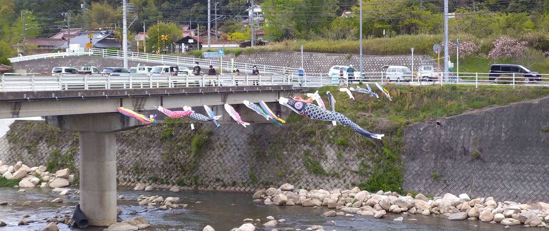西日本豪雨復興鯉のぼり