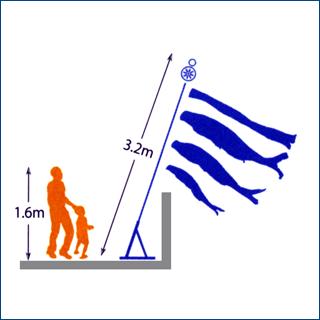 2mの鯉と吹流しを揚げ、万能スタンドを設置した大きさと人の大きさを比較した図