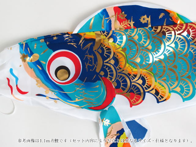 華美鯉1.1m青鯉