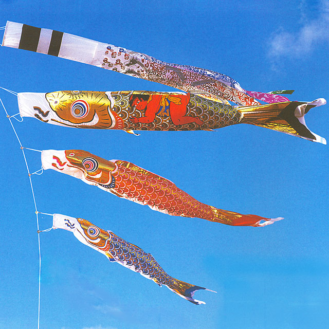 5m黄金鯉金太郎黄金龍吹流し6点セット（ポールなし）が安い フジサン鯉のぼり ～広島市の人形問屋十二段屋