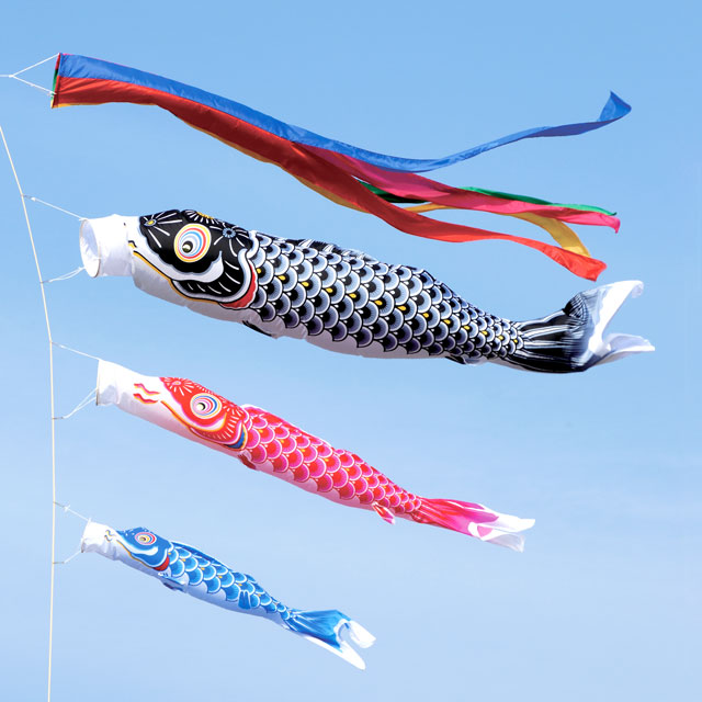 目玉商品】ナイロン製鯉のぼり超強力ロングポールセットが安い ～広島 