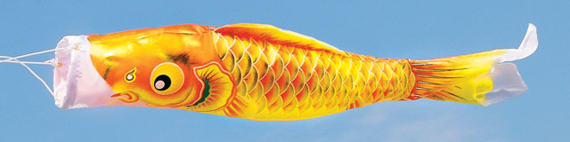 空子鯉黄