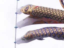 鯉のぼり武者幟兼用スーパーDXポールが安い ～広島市の人形問屋十二段屋