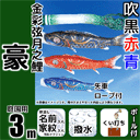 3m豪鯉のぼりガーデンセット