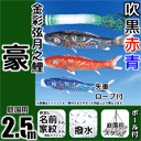 2.5m豪鯉のぼり大型スタンドセット