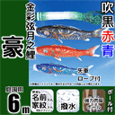 6m豪鯉のぼりハイパワーポールセット