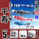 5m千寿鯉のぼりフルセットプラス