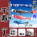 7m千寿鯉のぼりフルセットプラス