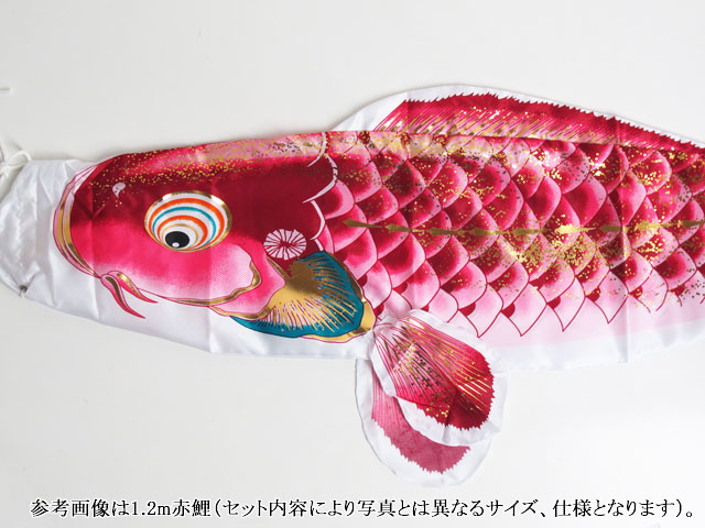 千寿赤鯉