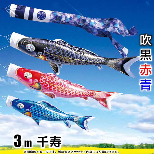 3m千寿鯉のぼり6点セット(ポールなし)
