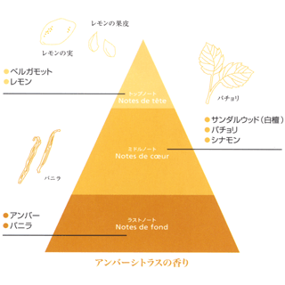パチュリの葉とレモンの皮、レモンの実、バニラの花と共にトップノート・ミドルノート・ラストノートの香りのピラミッドを図解で説明