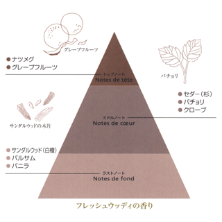 パチュリの葉とレモンの皮、レモンの実、オークモスの木と共にトップノート・ミドルノート・ラストノートの香りのピラミッドを図解で説明