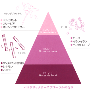 オレンジブロッサム、ローズの花とシナモンとともにクールドパリのトップノート、ミドルノート、ラストノートの香りのピラミッドを図解で説明