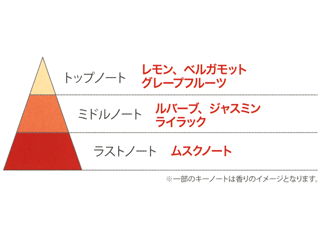 ピンクグレープフルーツのトップノート、ミドルノート、ラストノートの香りのピラミッドを図解で説明