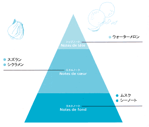 ウォーターメロンやスズラン、シクラメン、ムスク、シーノートを調香したマリンノート２の香りのピラミッドの図解