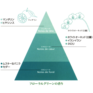 マンダリン、ホワイトオーキッド（白蘭）とともにオルキデブランシュのトップノート、ミドルノート、ラストノートの香りのピラミッドを図解で説明