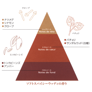 グローブの種とパチョリの葉、トンカビーンズの実と共にトップノート・ミドルノート・ラストノートの香りのピラミッドを図解で説明